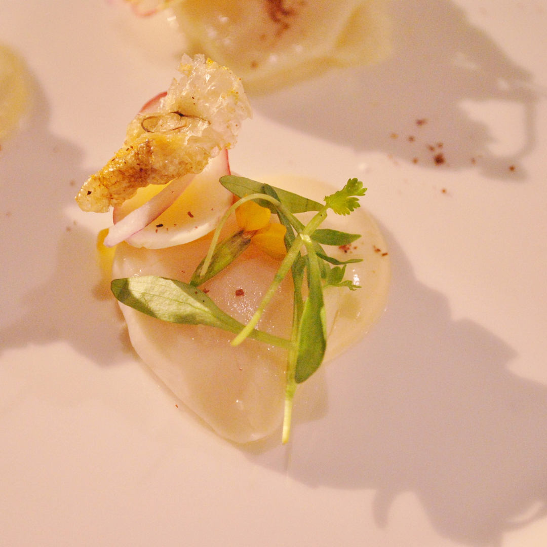 Scallop Crudo Recipe