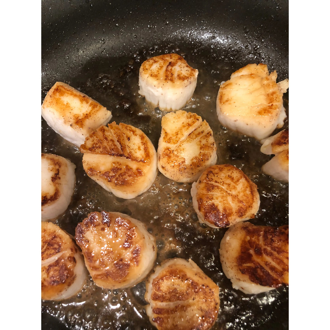 Sea Scallops (1lb.)