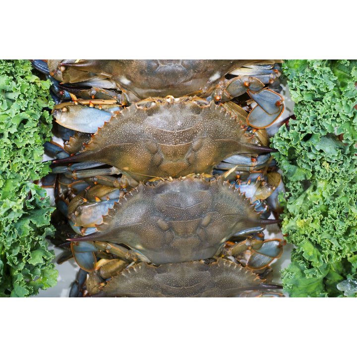 Soft Shell Crabs (2 Crabs)
