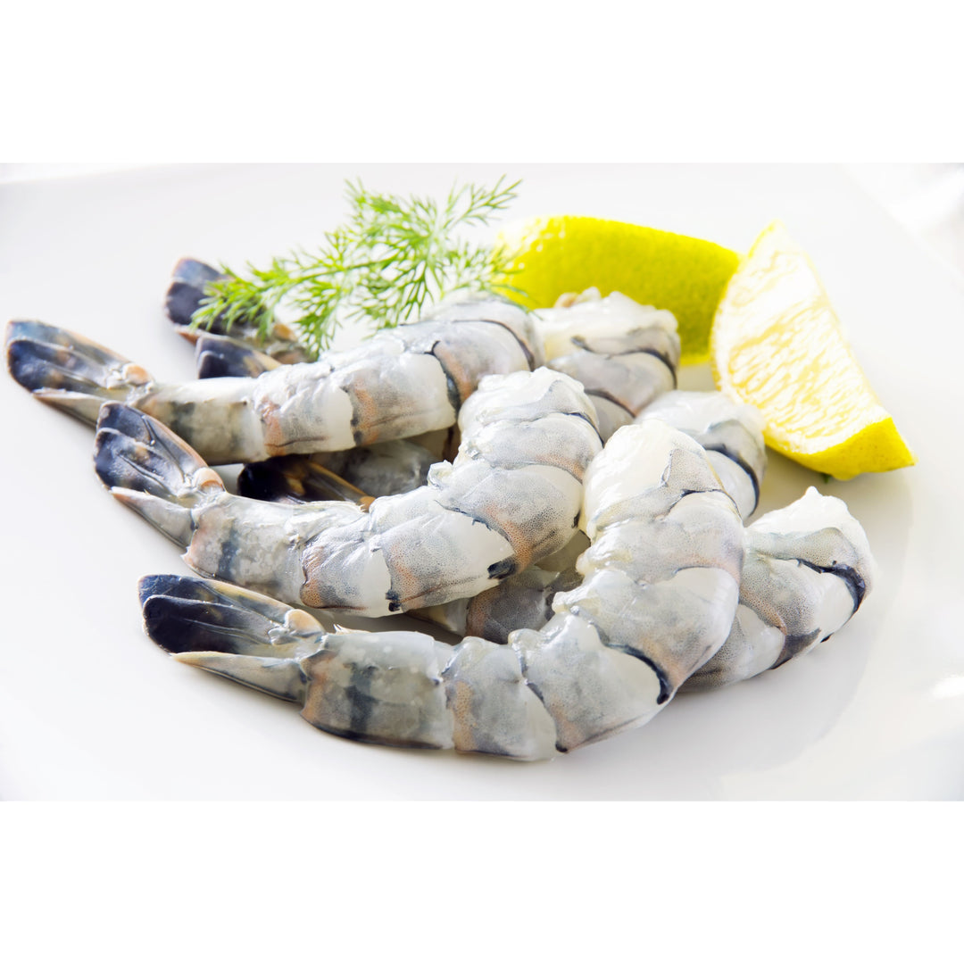 Giant Black Tiger Shrimp/Prawns