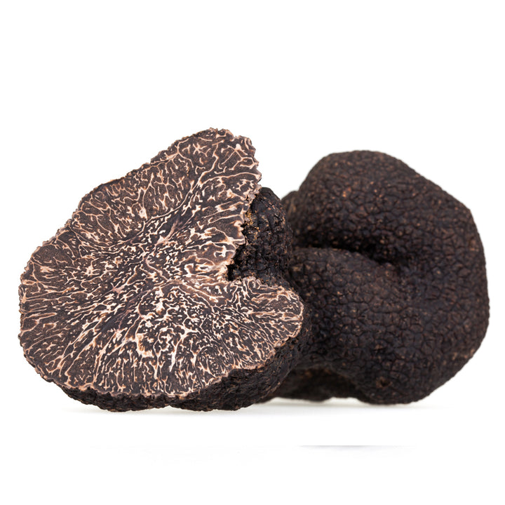 黑勃艮第松露（Tuber Uncinatum）