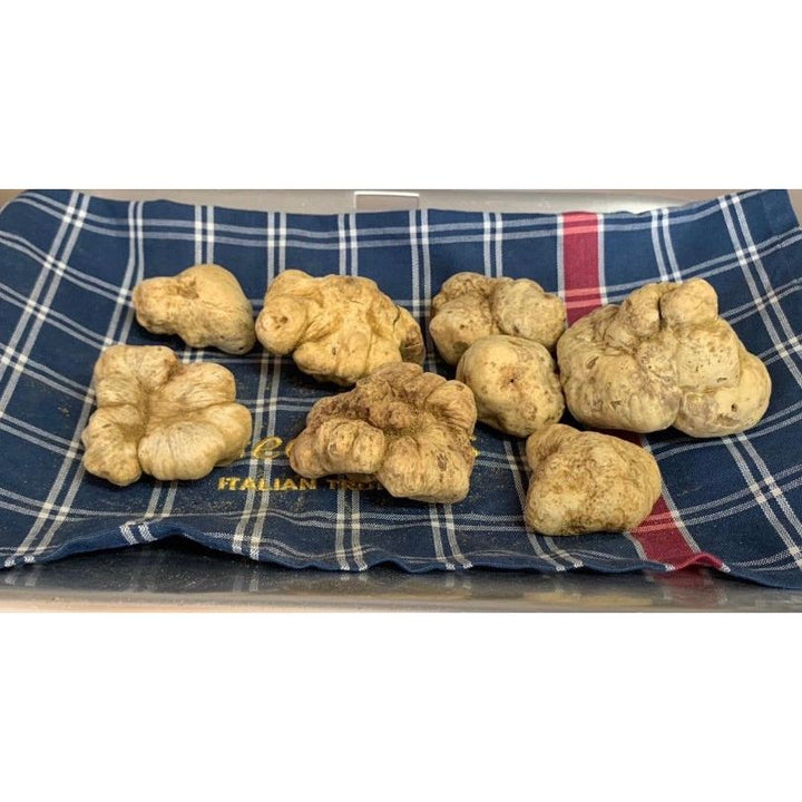 意大利白松露 (Tuber Magnatum Pico)